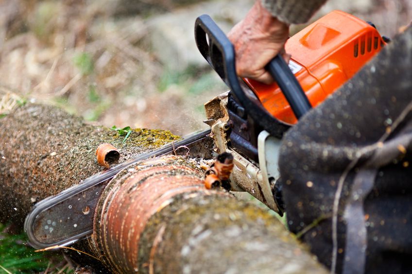 Tree Service Pittsburgh  